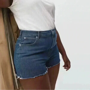 Everlane The Way High Denim Short
